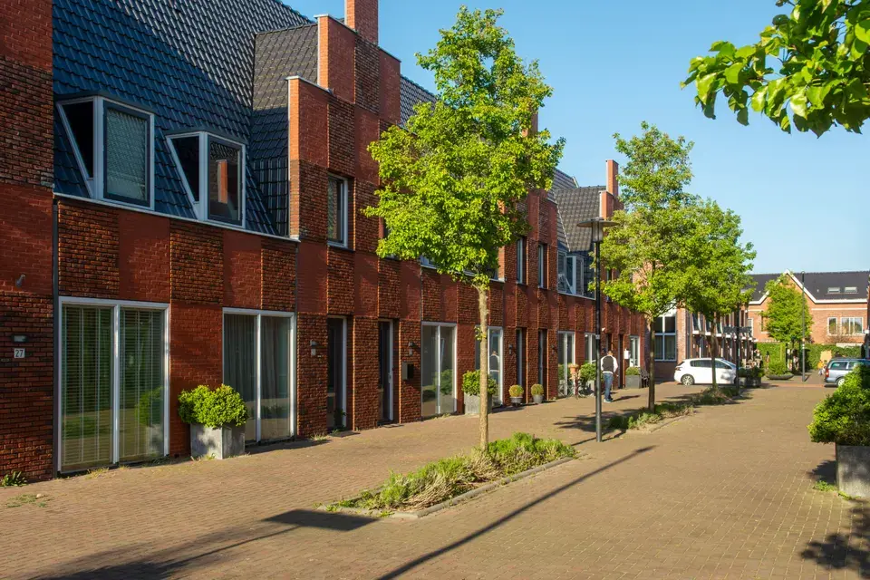 mold removal Village Saint George